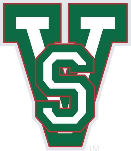 MVSU Delta Devils 1996-Pres Alternate Logo diy DTF decal sticker